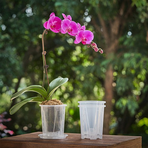 GrowGlass - Clear Nursery Pots with Drainage and Saucers