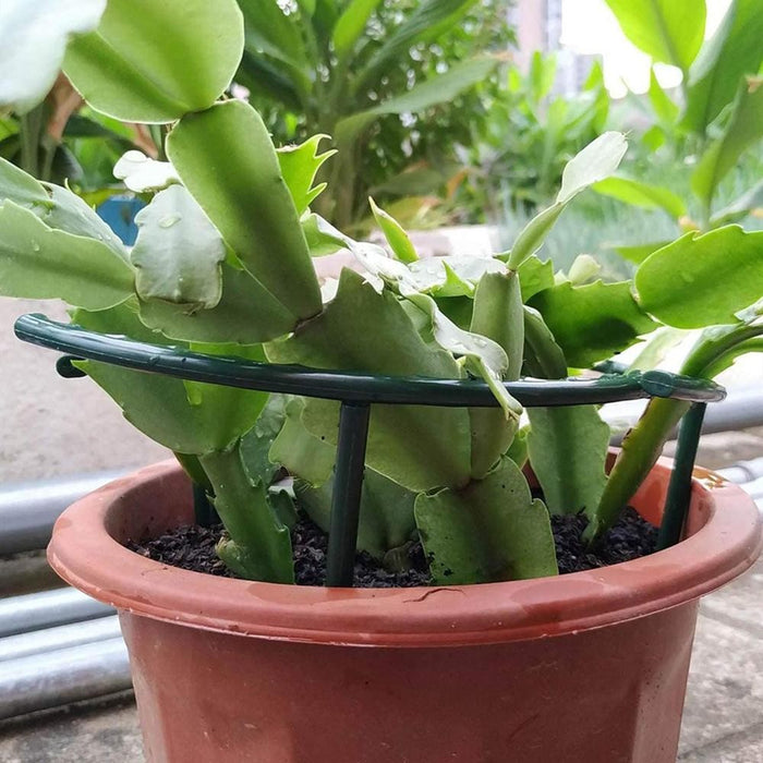 GardenCurve - Plant Support Bracket for Greenhouse