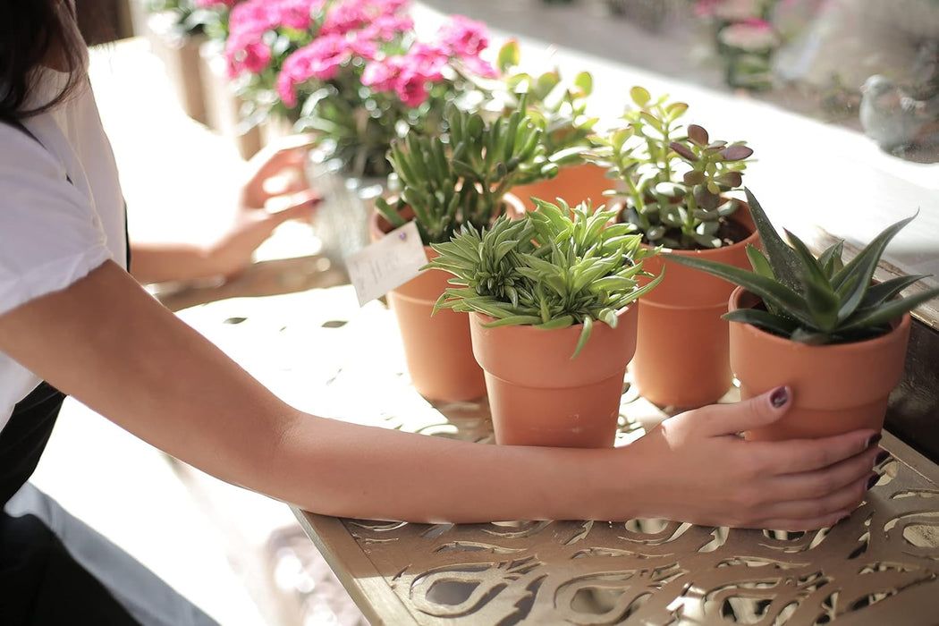 RootWell - Houseplant Potting Mix