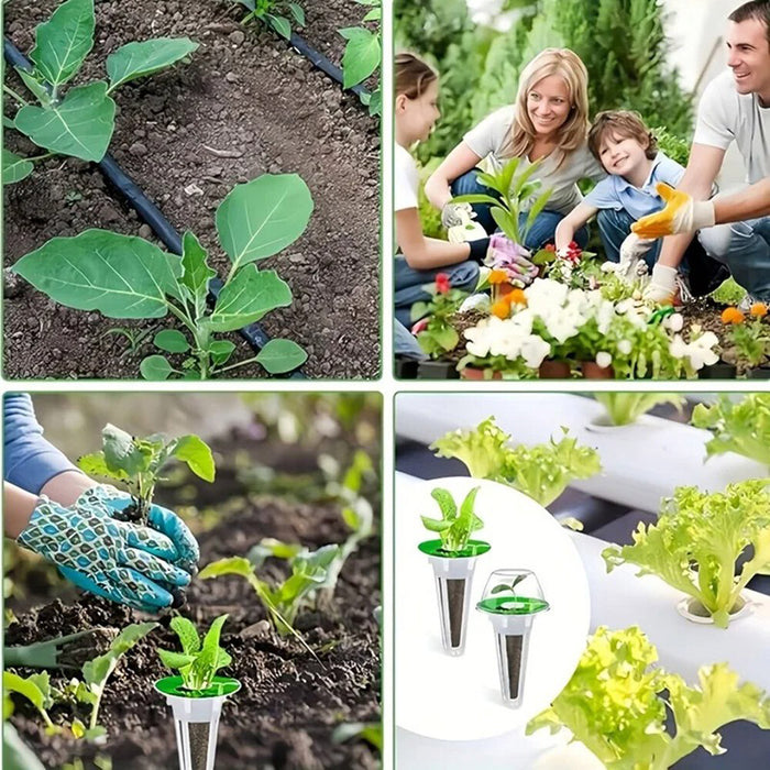 Rootify - Hydroponic Garden Seed Pods