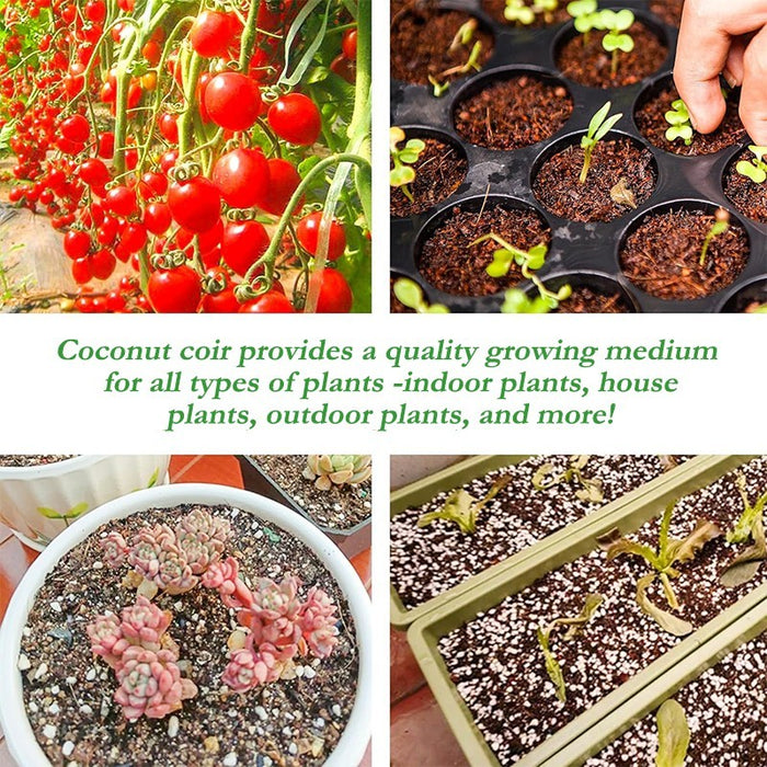 CocoGrow – Premium Coconut Coir Bricks