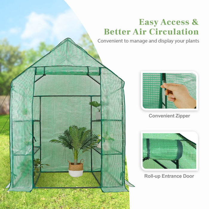 Evergreen - Tiered Walk-in Greenhouse