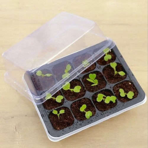 GrowLid - Greenhouse Seedling Tray