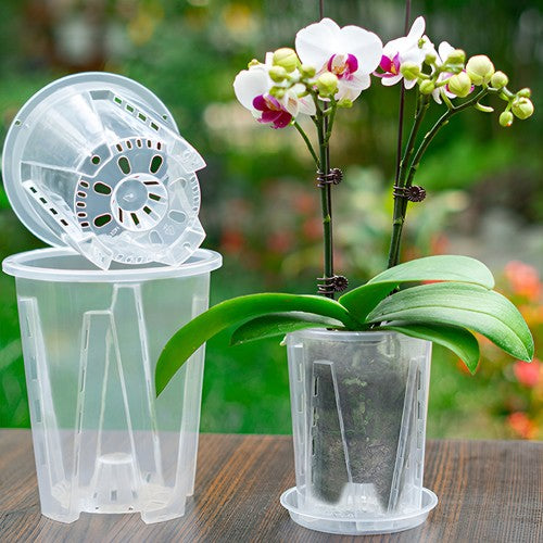 GrowGlass - Clear Nursery Pots with Drainage and Saucers
