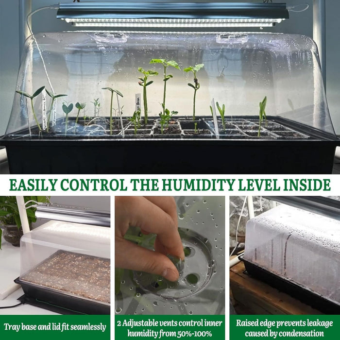 SeedForge - Seed Starter Kit with Grow Light