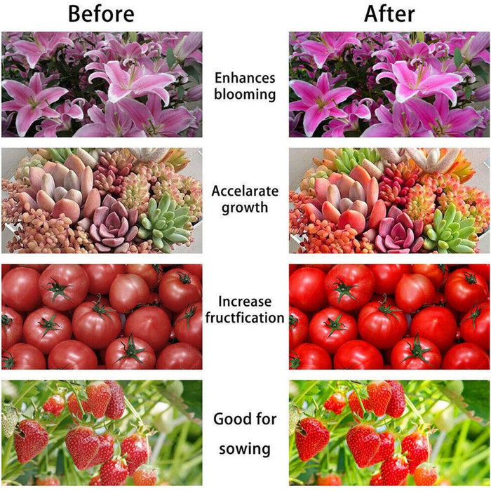 FloraGlow - Full Spectrum LED Grow Light