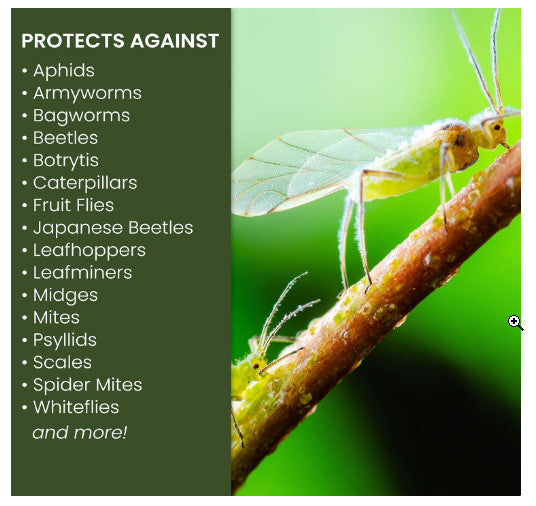GardenGlow - Neem Oil Spray for Plants
