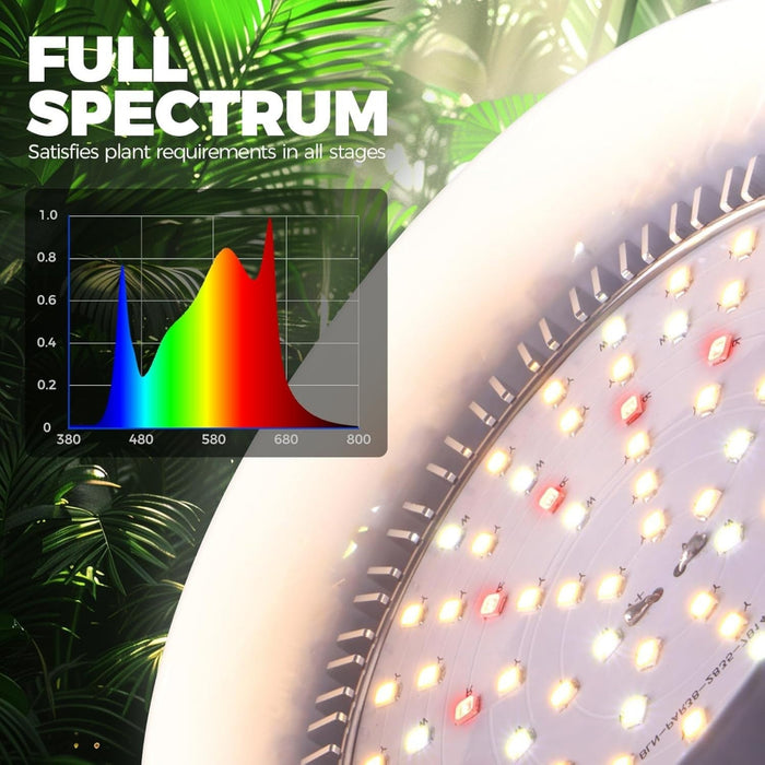 BloomCord - Hanging Grow Lights for Indoor Plants