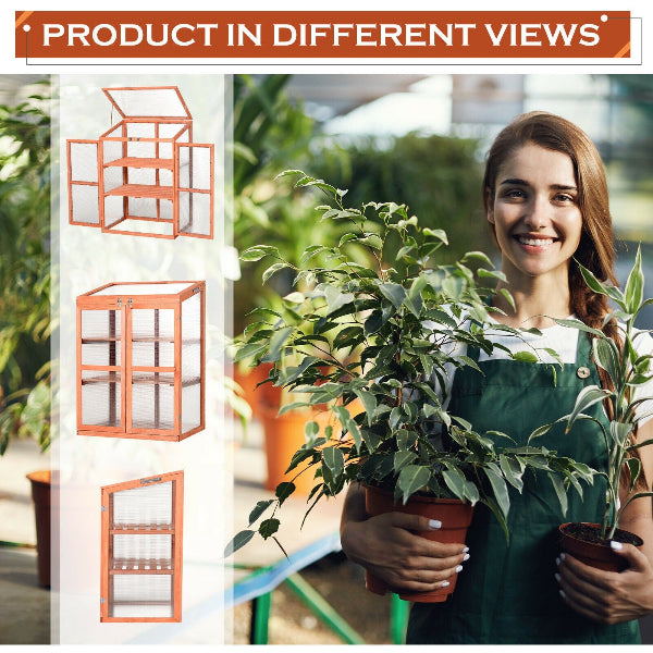 CedarSprout - Polycarbonate Greenhouse with Shelves