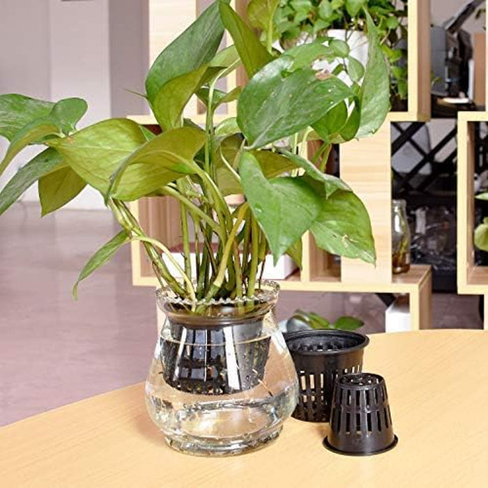 TerraMesh - Hydroponic Plant Basket
