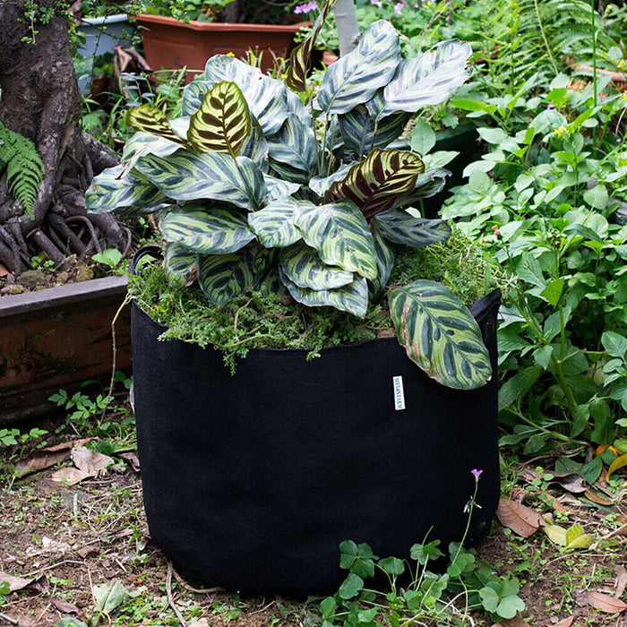 GrowNest - Planting Grow Bags w/ Handle