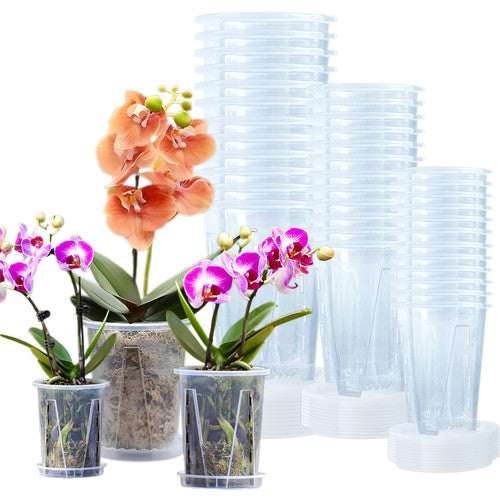 GrowGlass - Clear Nursery Pots with Drainage and Saucers