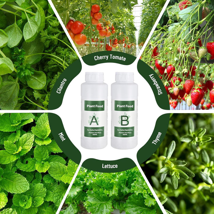 NexaGrow - Hydroponic Plant Food A&B