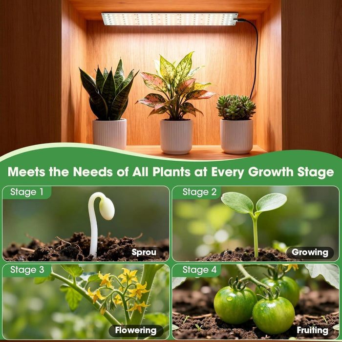 SeedRay - Grow Lights for Indoor Plants