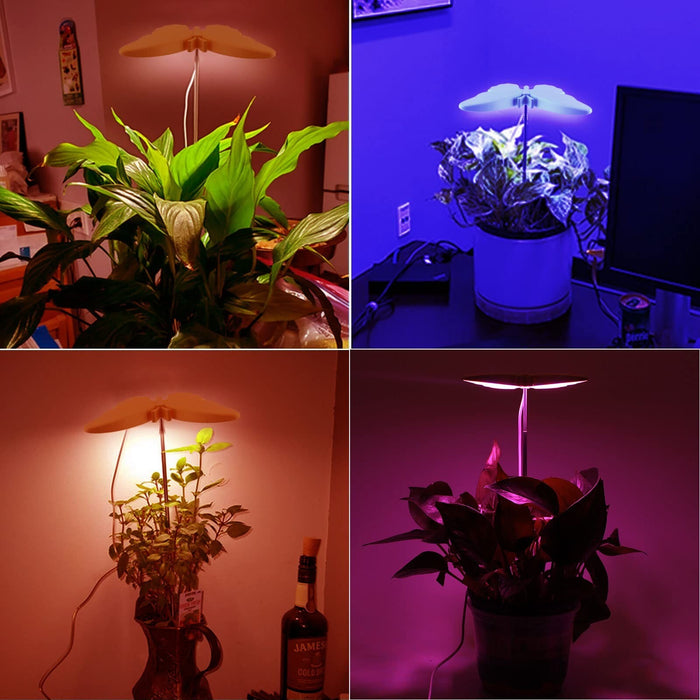 BotanicaRay - Plant Support Light