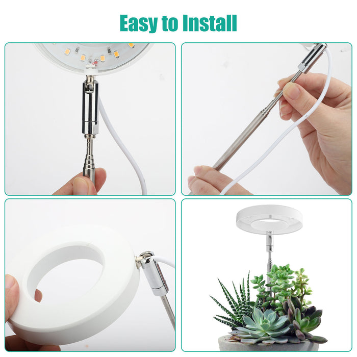 BrightFern - Halo Grow Lamp