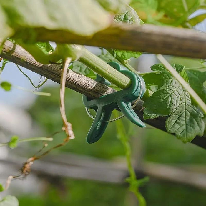 VineSnap - 20-Piece Reusable Plant Support Clips