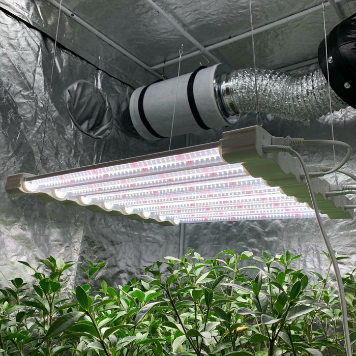 GreenPulse - Hydroponic Grow Lamp