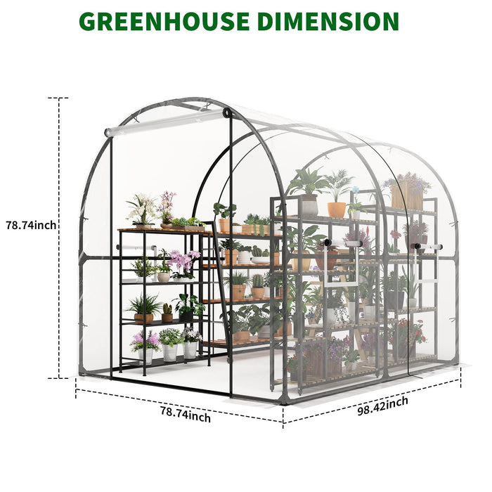 VerdantPeak - Large Walk-in Tunnel Greenhouse