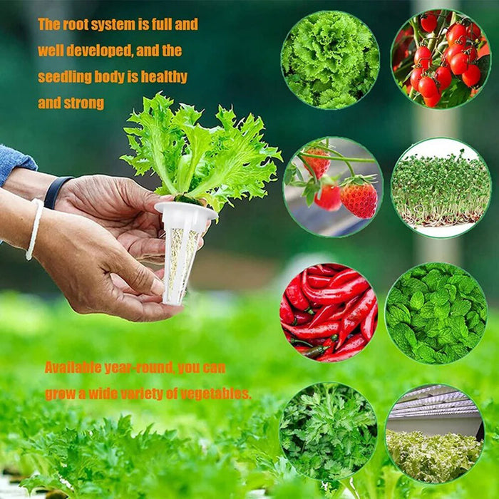 Rootify - Hydroponic Garden Seed Pods