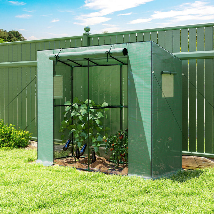 BloomCove - Portable Small Greenhouse