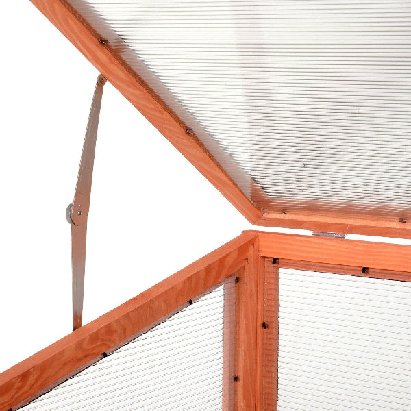 CedarSprout - Polycarbonate Greenhouse with Shelves