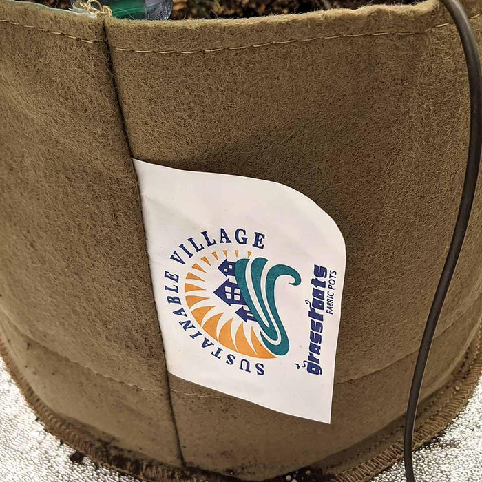 MoistureCore - Living Soil Pot