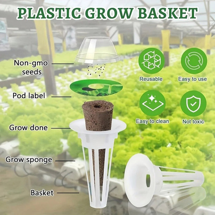 Rootify - Hydroponic Garden Seed Pods