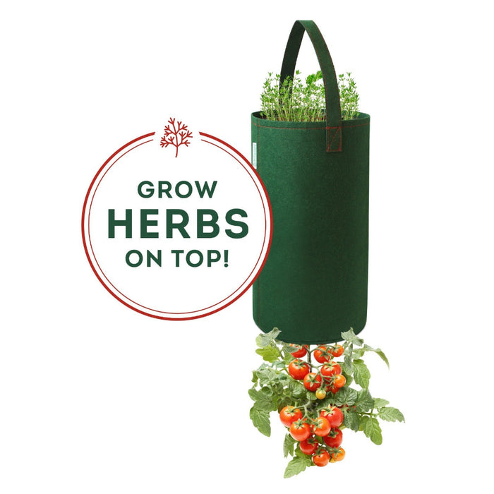 TerraFlip - Upside Down Tomato Planter