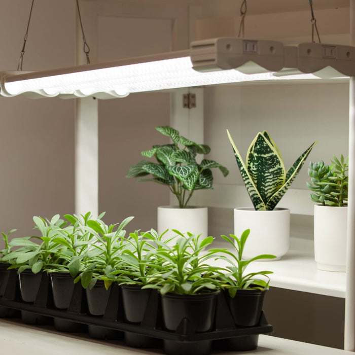 BrightBud - Full Spectrum LED Grow Light