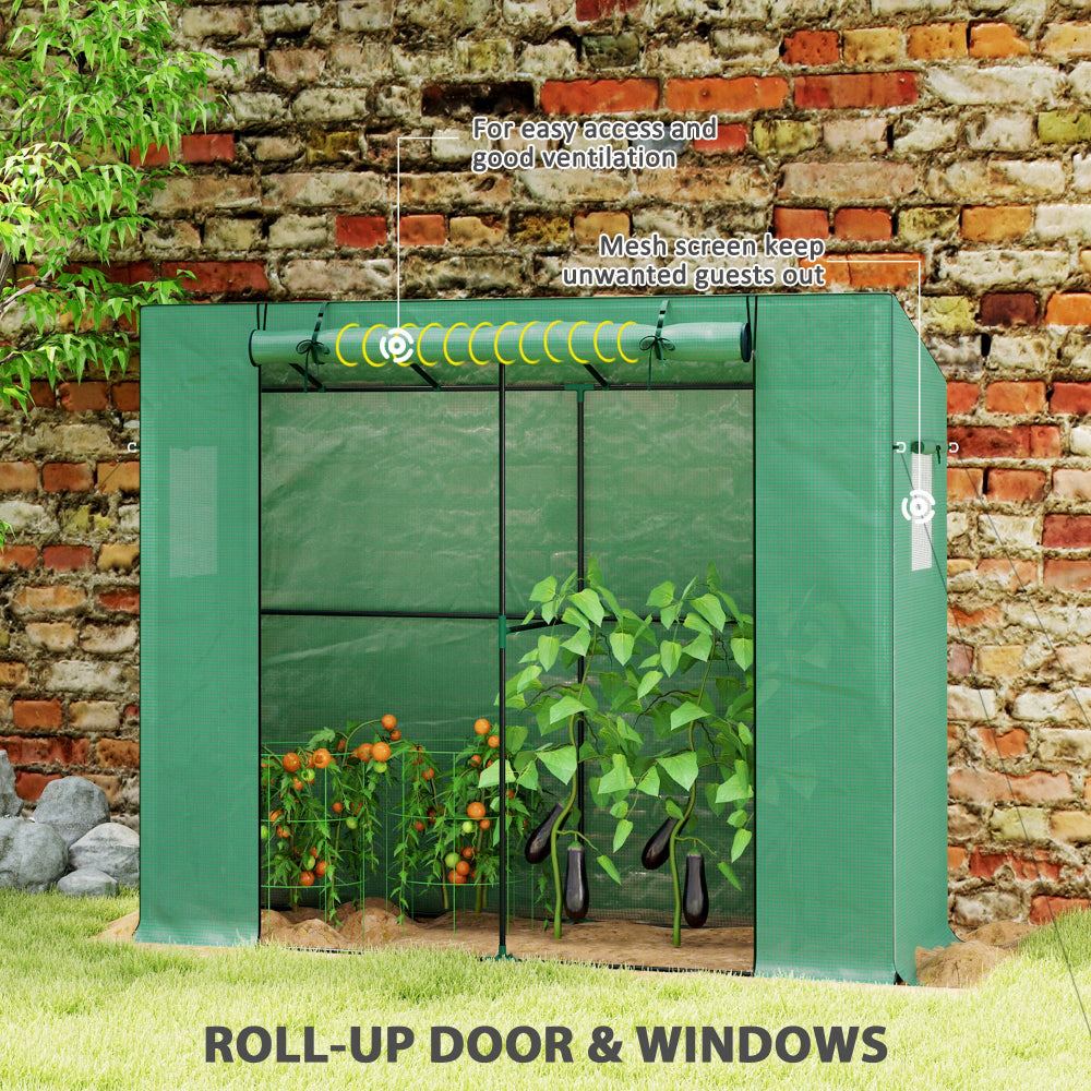 BloomCove - Portable Small Greenhouse
