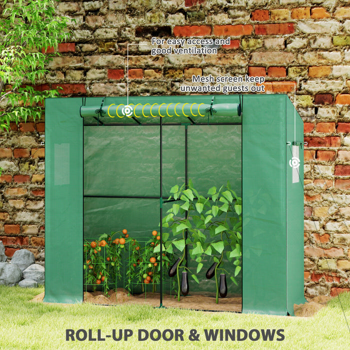 BloomCove - Portable Small Greenhouse