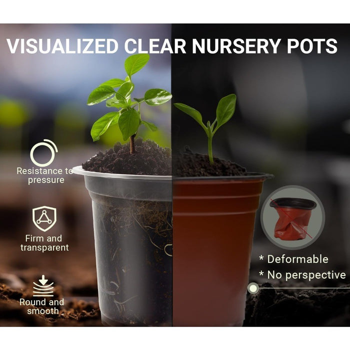 RootWatch - Clear Plastic Plant Pot