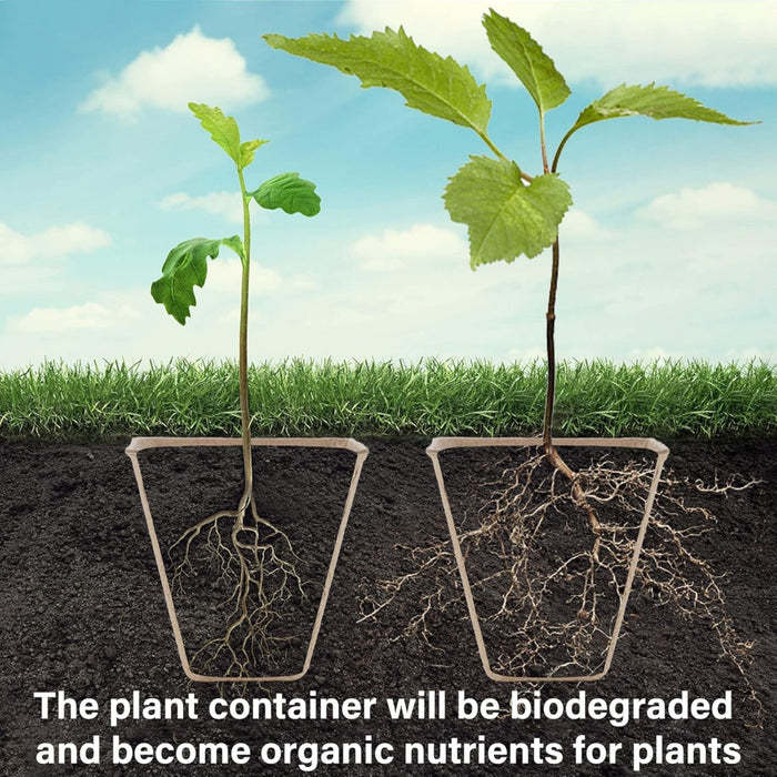 SeedWise - Seed Starter Peat Pots