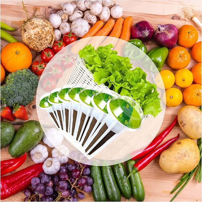 SeedWave - Hydroponic Garden Seed Pods