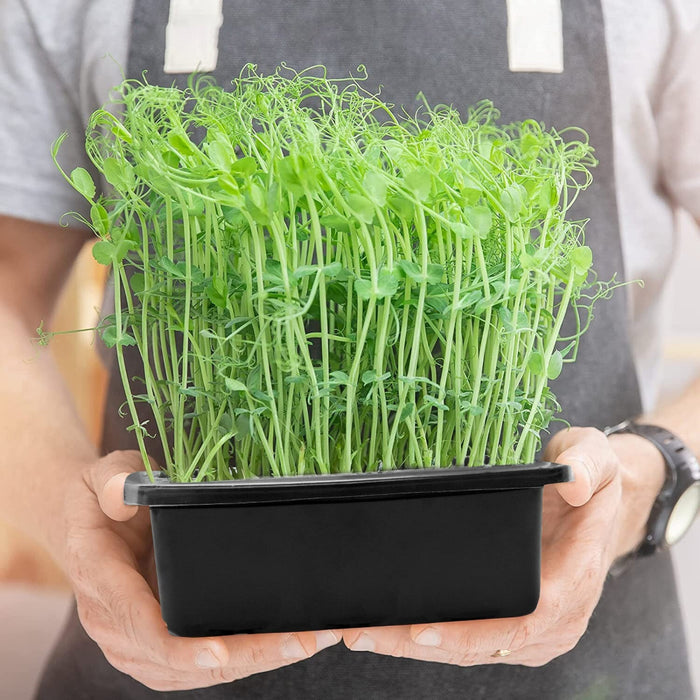 GrowReady - Reusable Plant Grow Kit Seed Trays
