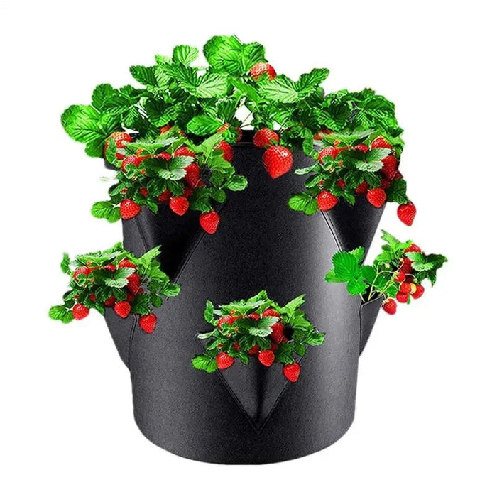 BerryBloom - Outdoor Strawberry Planters