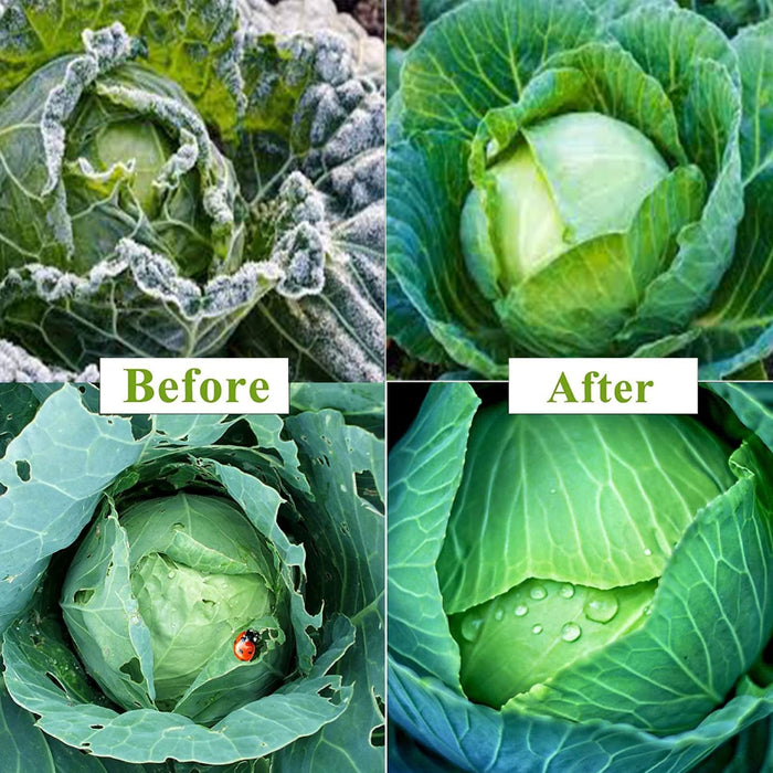 BloomBarrier - Plant Covers Freeze Protection Kit