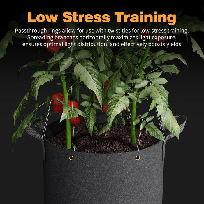 WaterSmart - Self-Watering Grow Bags