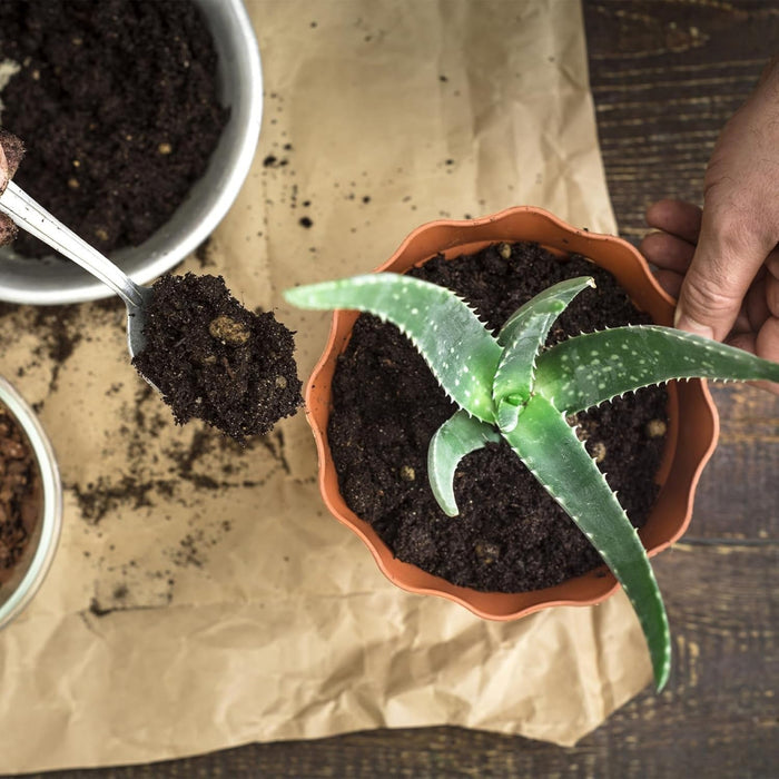VeraGrow - Aloe Vera Potting Soil Mix
