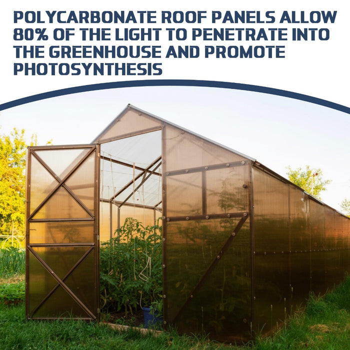 CanopyClear -  4x2 Twin-Wall Polycarbonate Greenhouse Panels