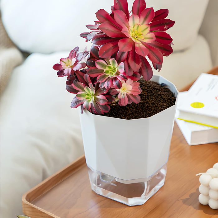 BloomDock - Self Watering Planter Pots