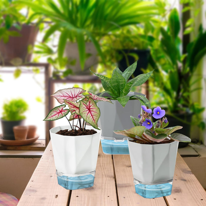 BloomDock - Self Watering Planter Pots