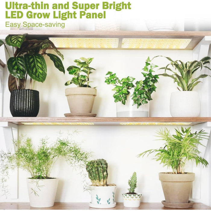 SeedRay - Grow Lights for Indoor Plants