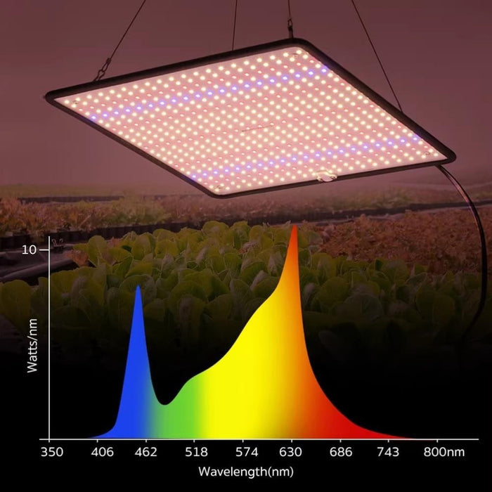 PlantAura - 1200W Full Spectrum LED Grow Light