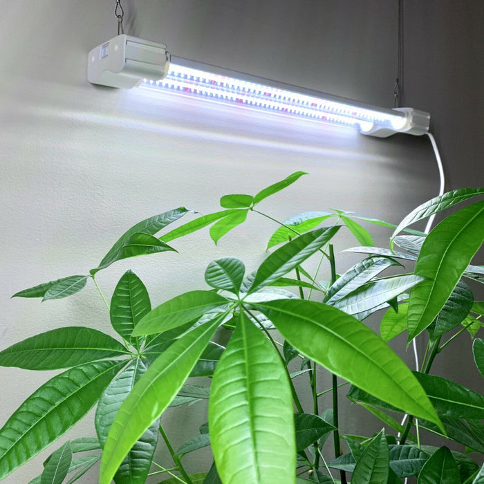 BrightBud - Full Spectrum LED Grow Light