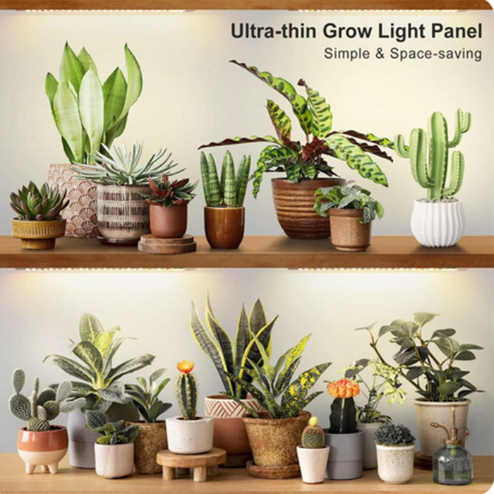 PlantBeam - Indoor LED Plant Grow Light