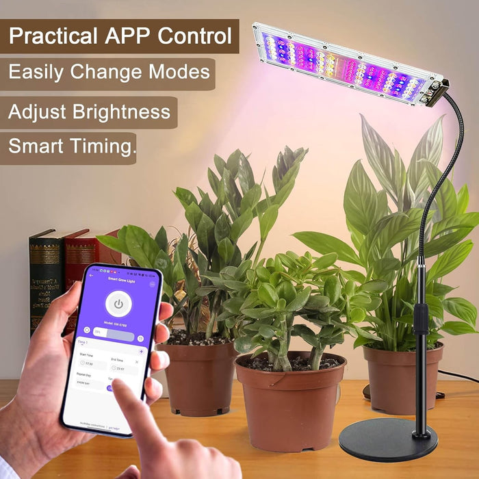 TerraShine - Full Spectrum Desk Growth Lamp