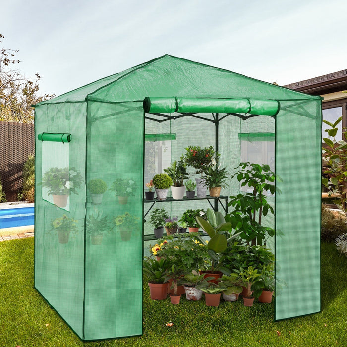 GrowLodge - Walk in Outdoor GreenHouse with 2 Shelves