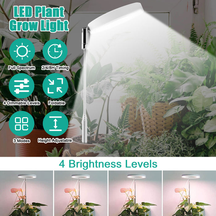 BrightFern - Halo Grow Lamp